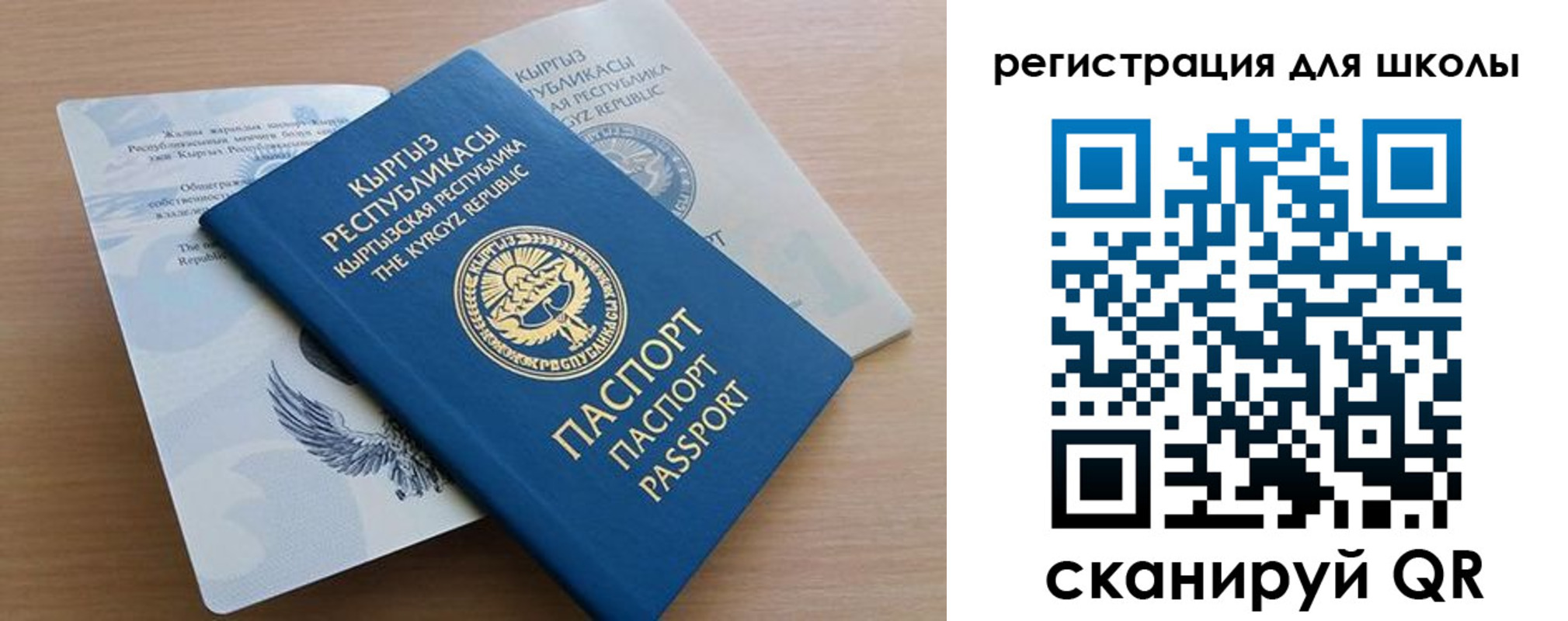 прописка гарантия в Апатитах